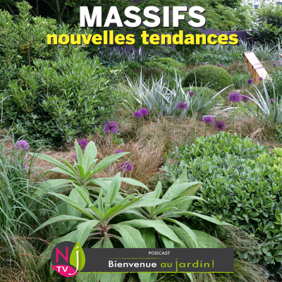 #83: DOSSIER: LES TENDANCES ACTUELLES POUR COMPOSER UN MASSIF cover