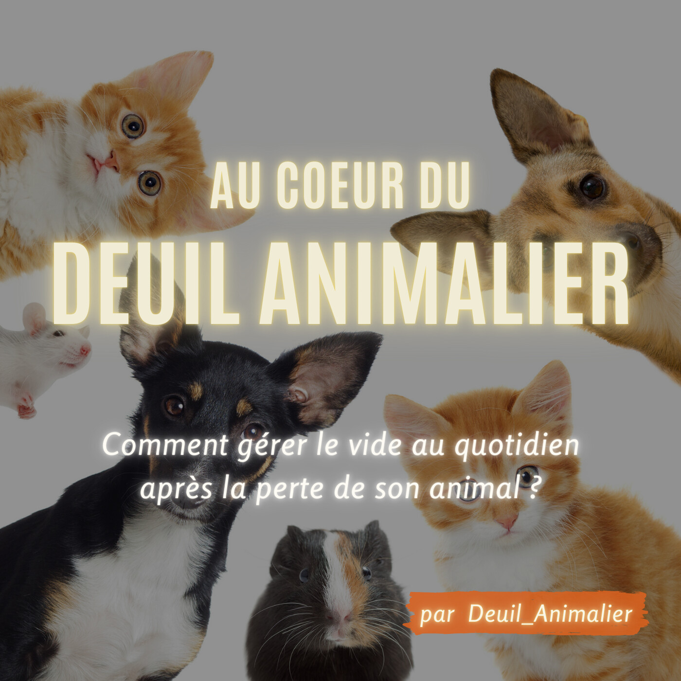 Au cœur du deuil animalier