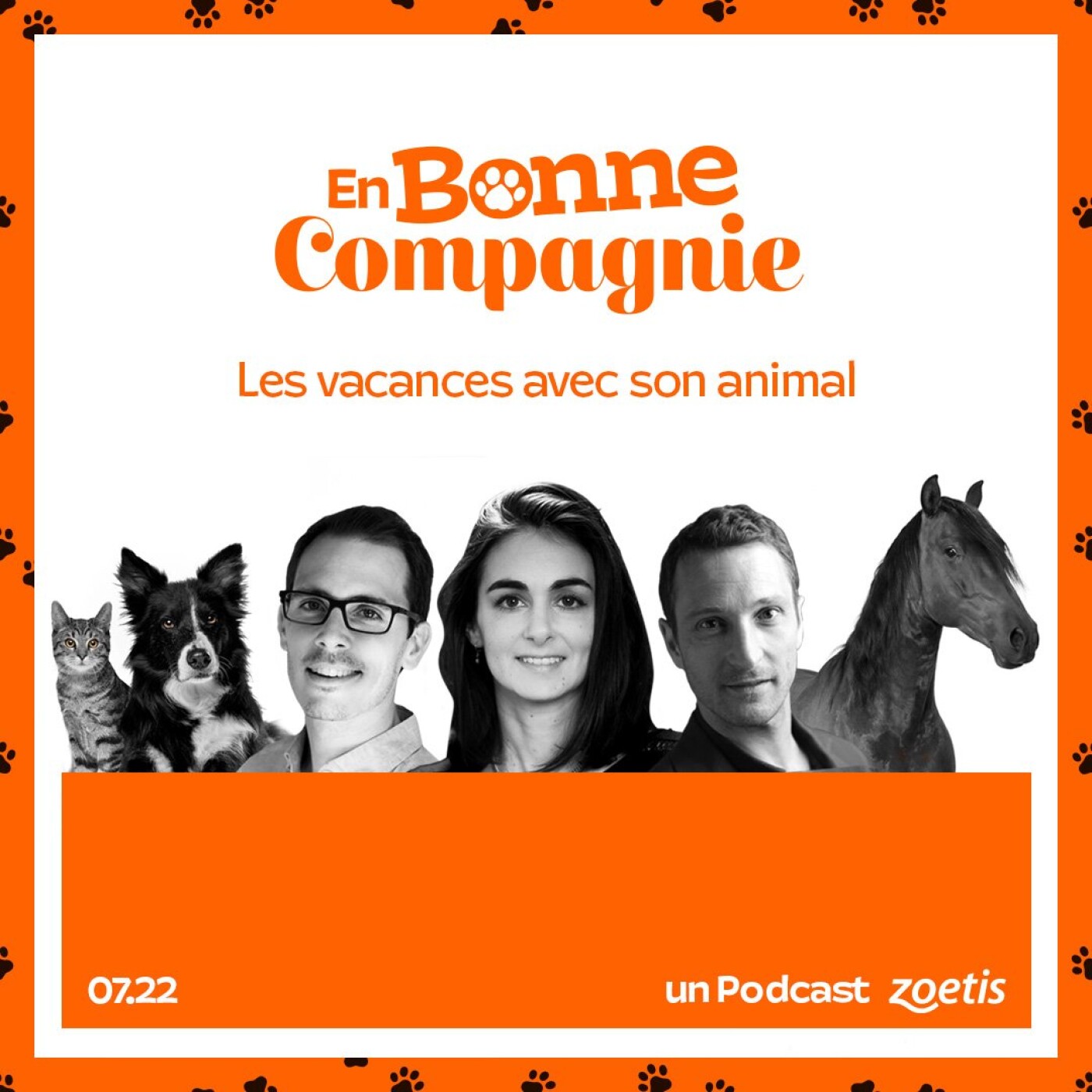 Les vacances avec son animal