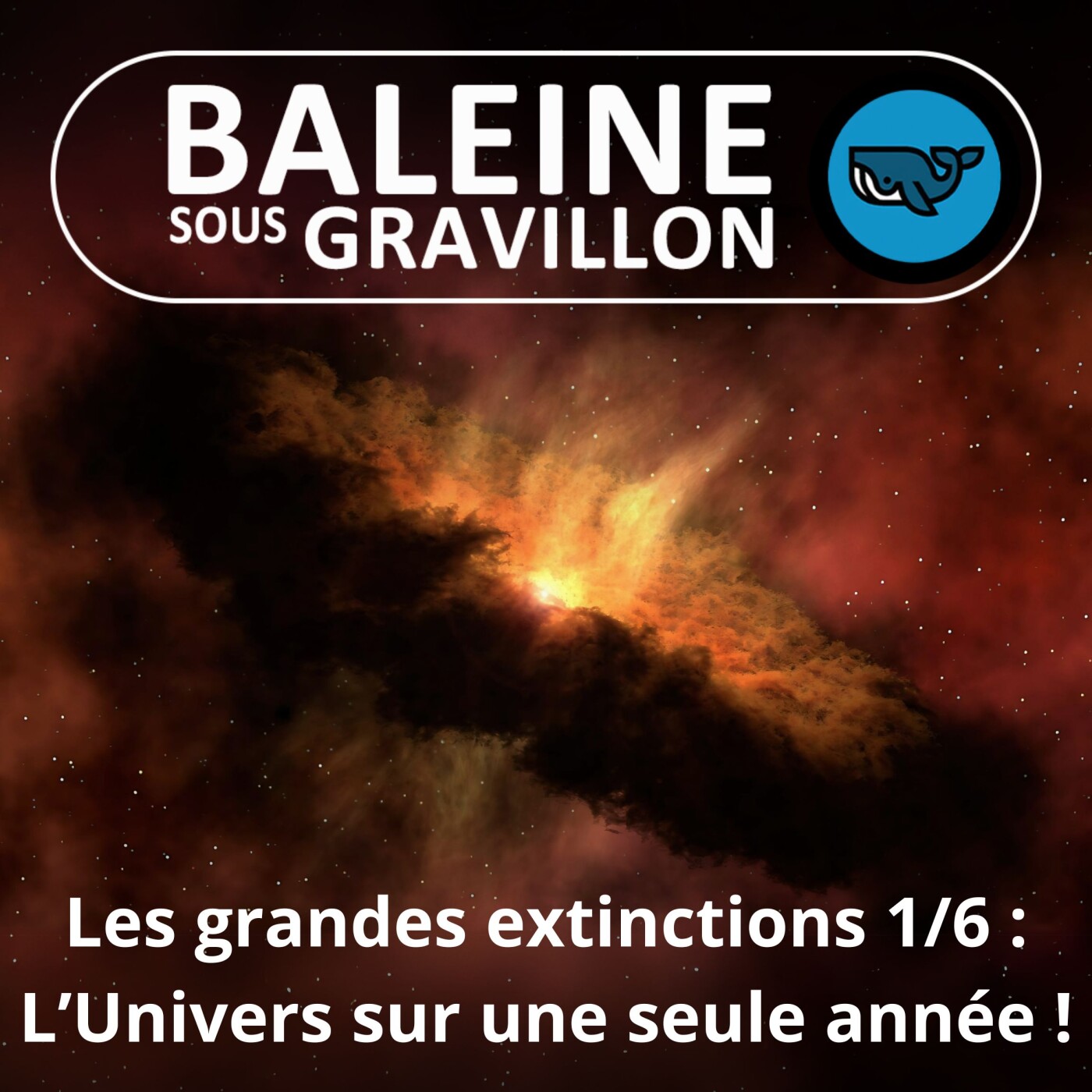S03E14 Grandes extinctions de masse 1/6 : L'histoire de l'Univers ramenée à une année (Sylvie Crasquin, paléontologue)