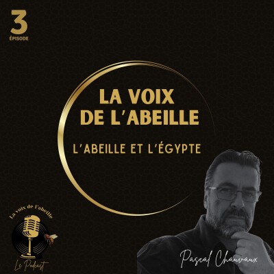 #3 - L'abeille et l'Egypte cover