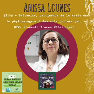 Anissa Lounes - Defiwaide, pertinence de la waide dans le phytomanagement des sols pollués par les ETM, Eléments Traces Métalliques cover
