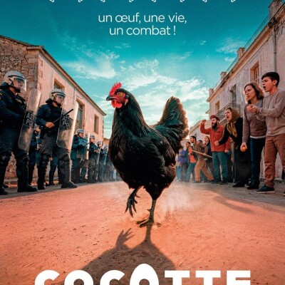 Cocotte cover