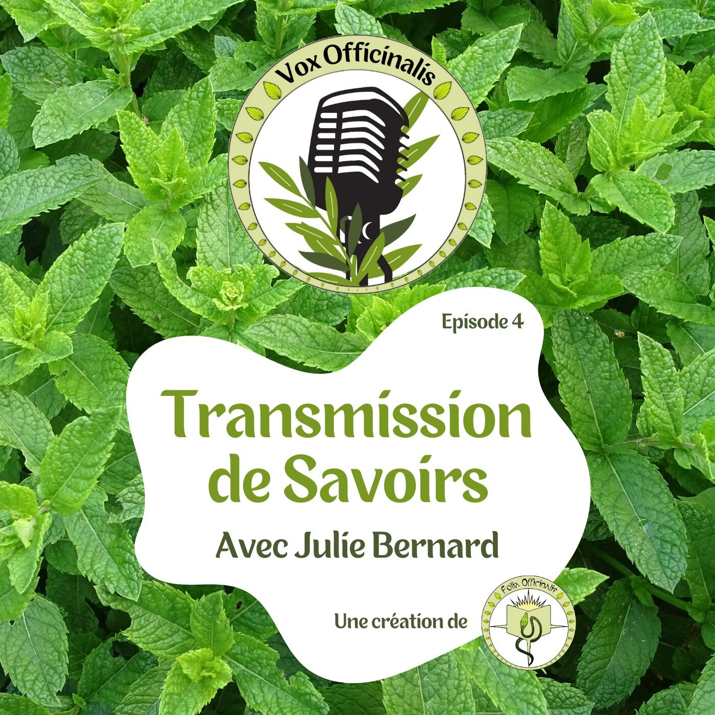 Transmission de savoirs avec Julie Bernard - 1 (S01-E04) episode artwork