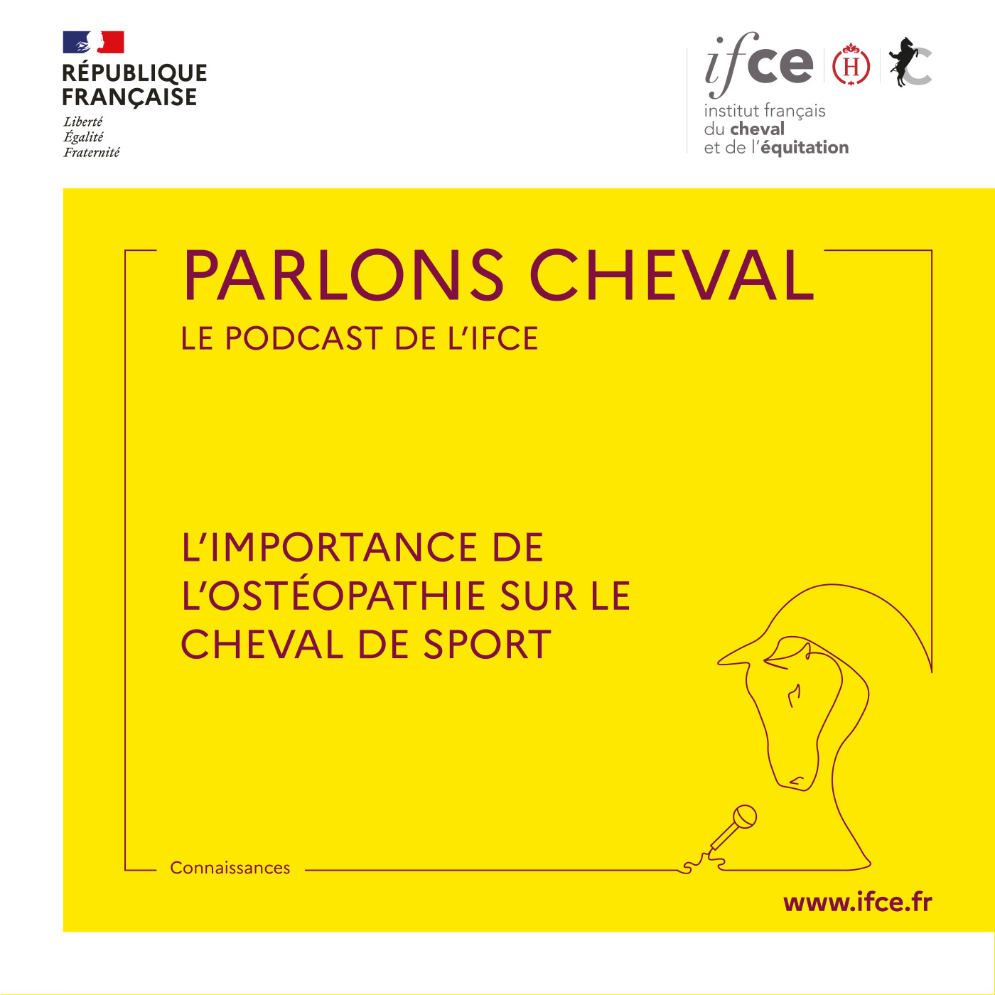 Ép. 22 | L'importance de l'ostéopathie sur le cheval de sport - Isabelle Burgaud
