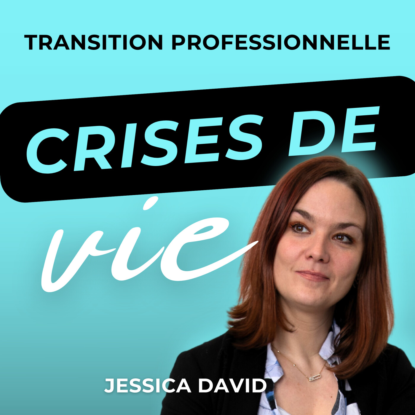 Crises de vie & Transition professionnelle cover art