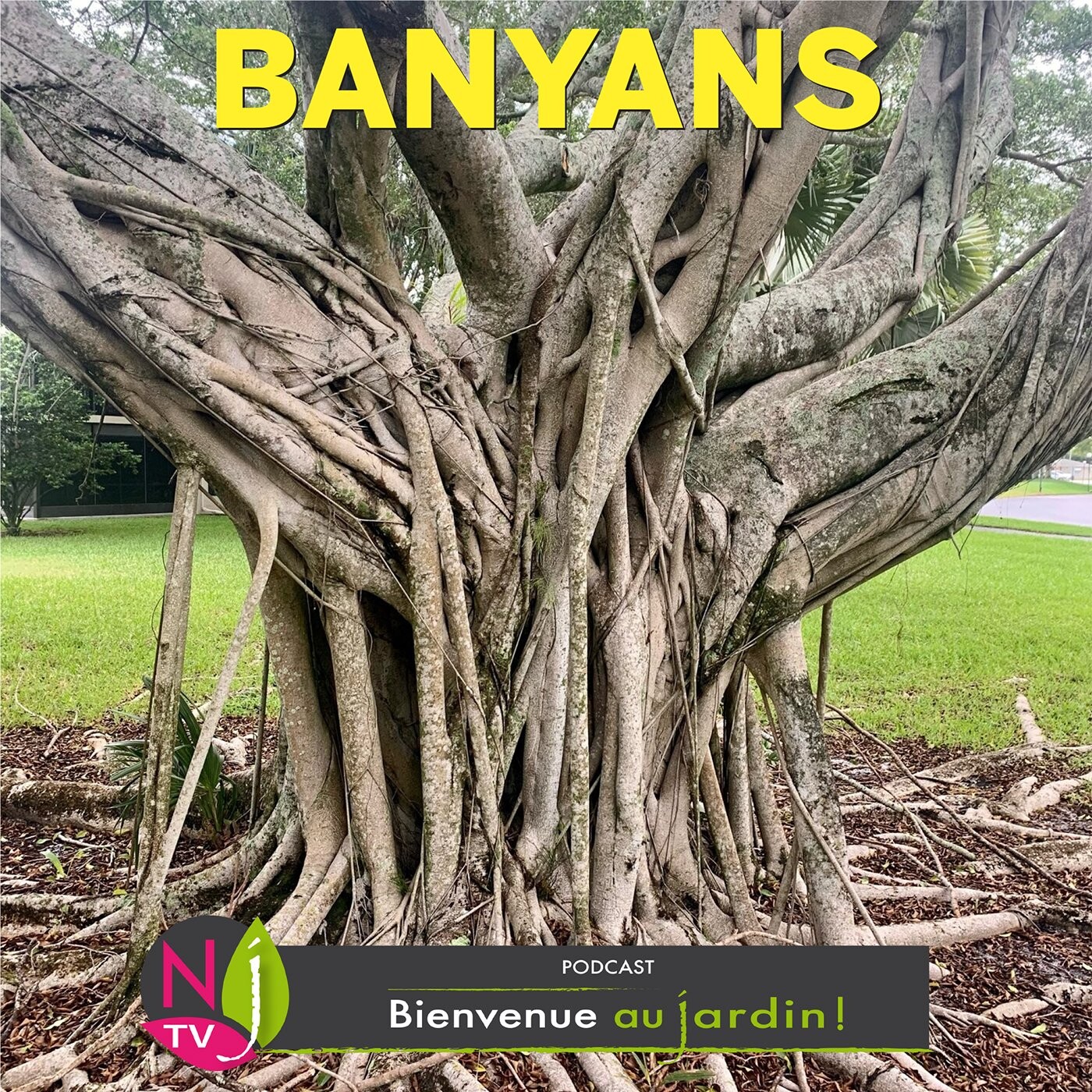 BIENVENUE AU JARDIN