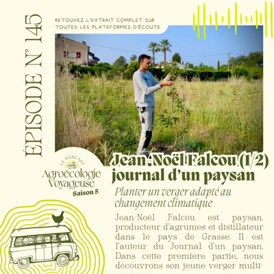 #145 Jean-Noël Falcou, le Journal d'un Paysan 🍊 Partie 1 - la balade : création d’un verger adapté au changement climatique cover