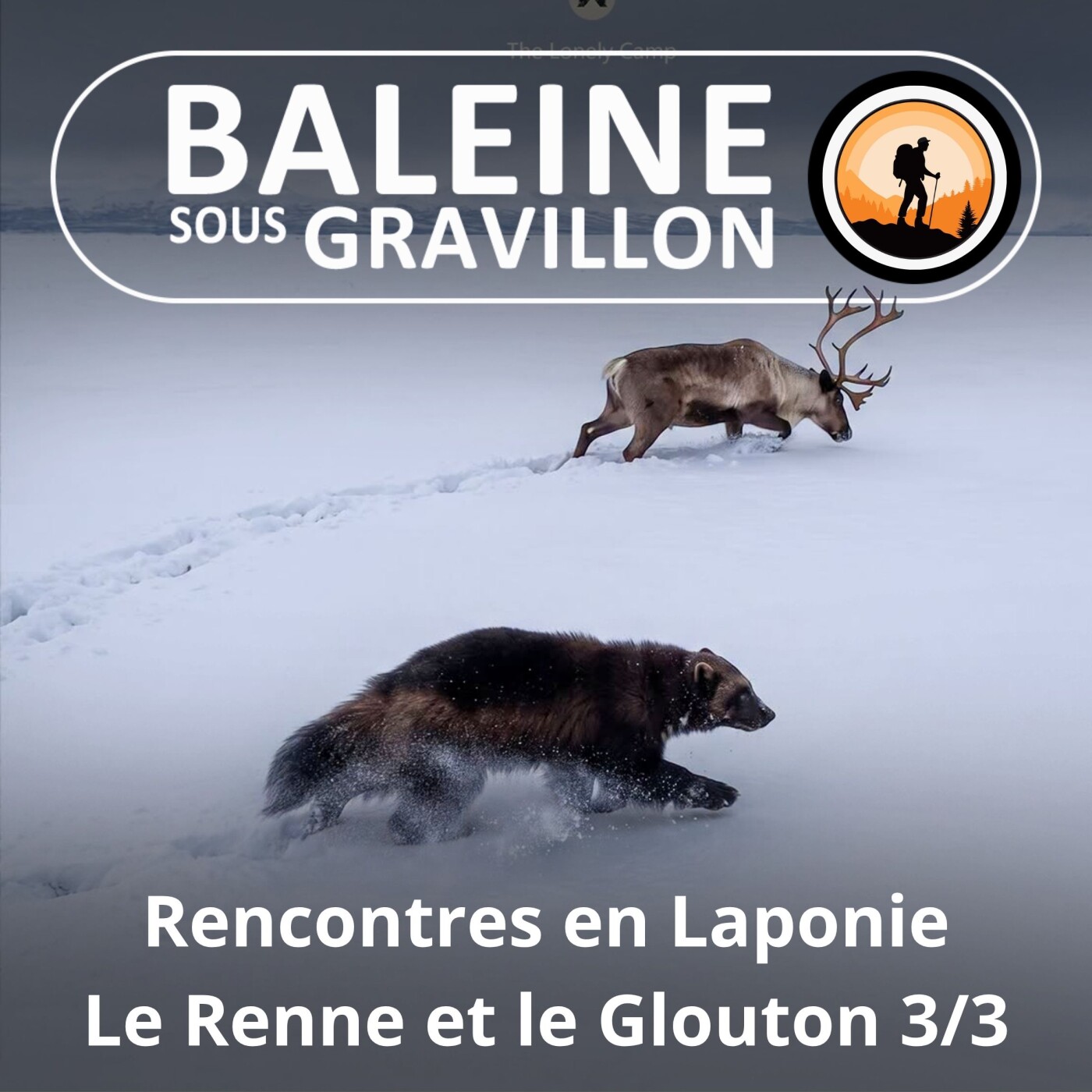 S02E22 Rencontres en Laponie : Le Renne et le Glouton (Kris de Bardia 3/3) episode artwork