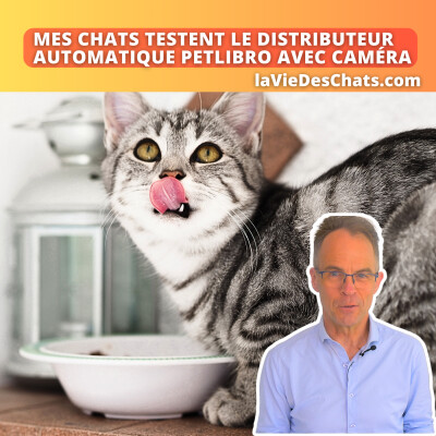 Mes chats testent le distributeur automatique Petlibro avec caméra cover