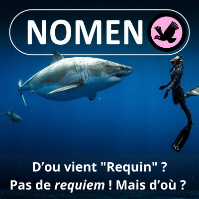 S01E03 Les Seigneurs des océans : du Requin blanc au Requin taupe cover