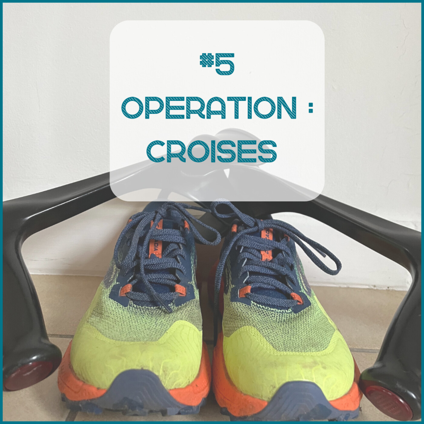 Opération: croisés