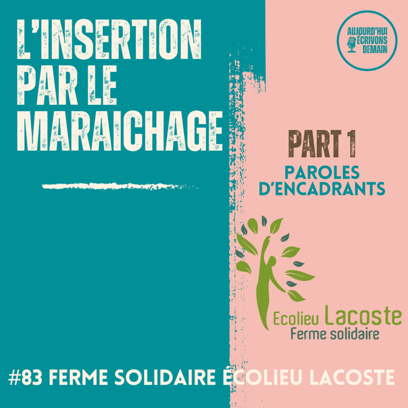 %2383 L’insertion par le maraichage à la Ferme solidaire de l’Ecolieu Lacoste | Paroles d’encadrants