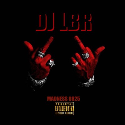 DJ LBR MADNESS 0825 cover