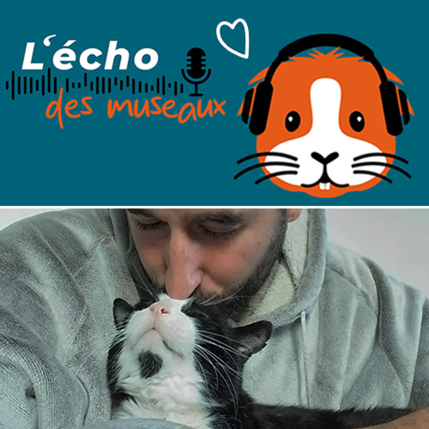 L\'écho des museaux