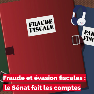 Fraude et évasion fiscales : le Sénat fait les comptes cover