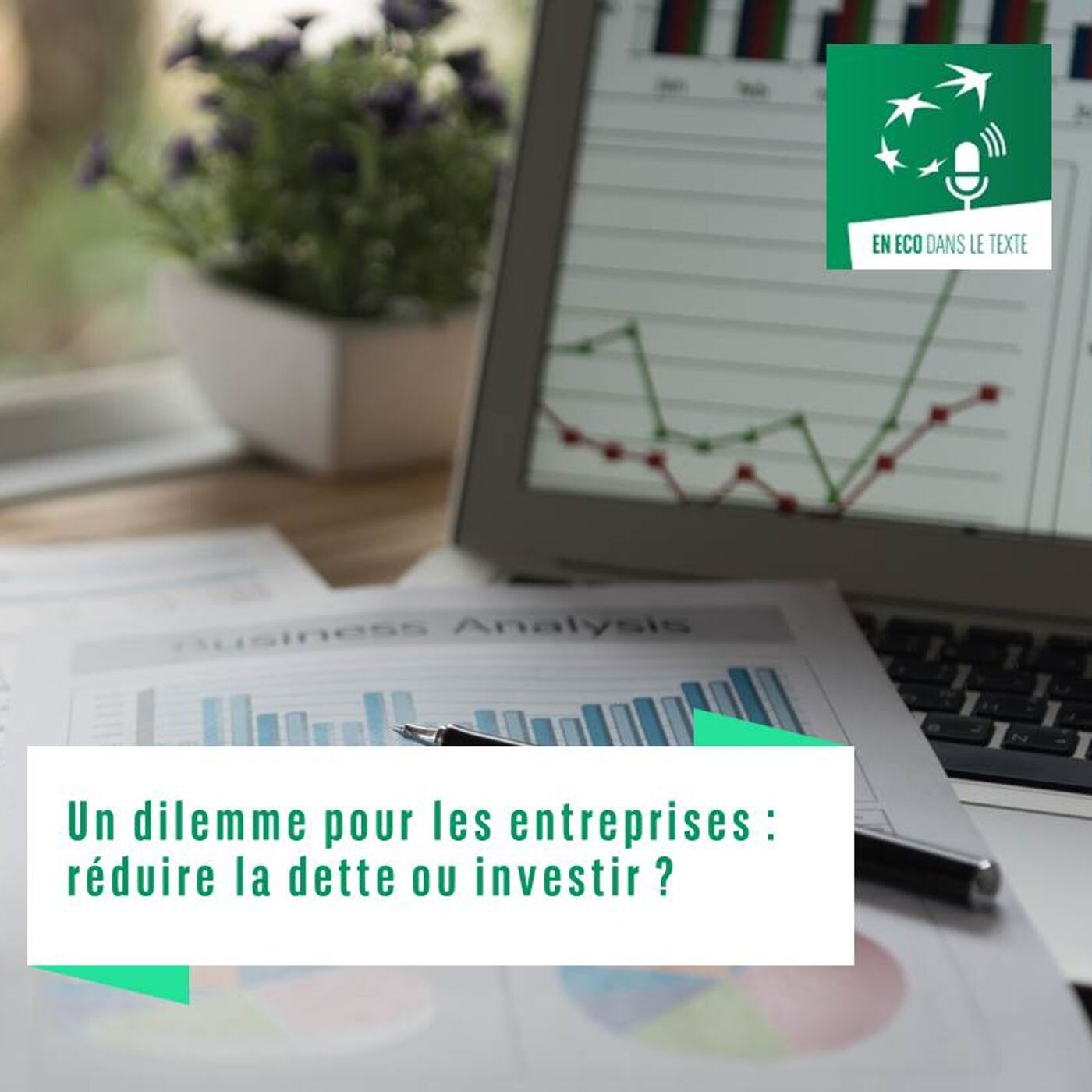 Un dilemme pour les entreprises : réduire la dette ou investir ? episode artwork