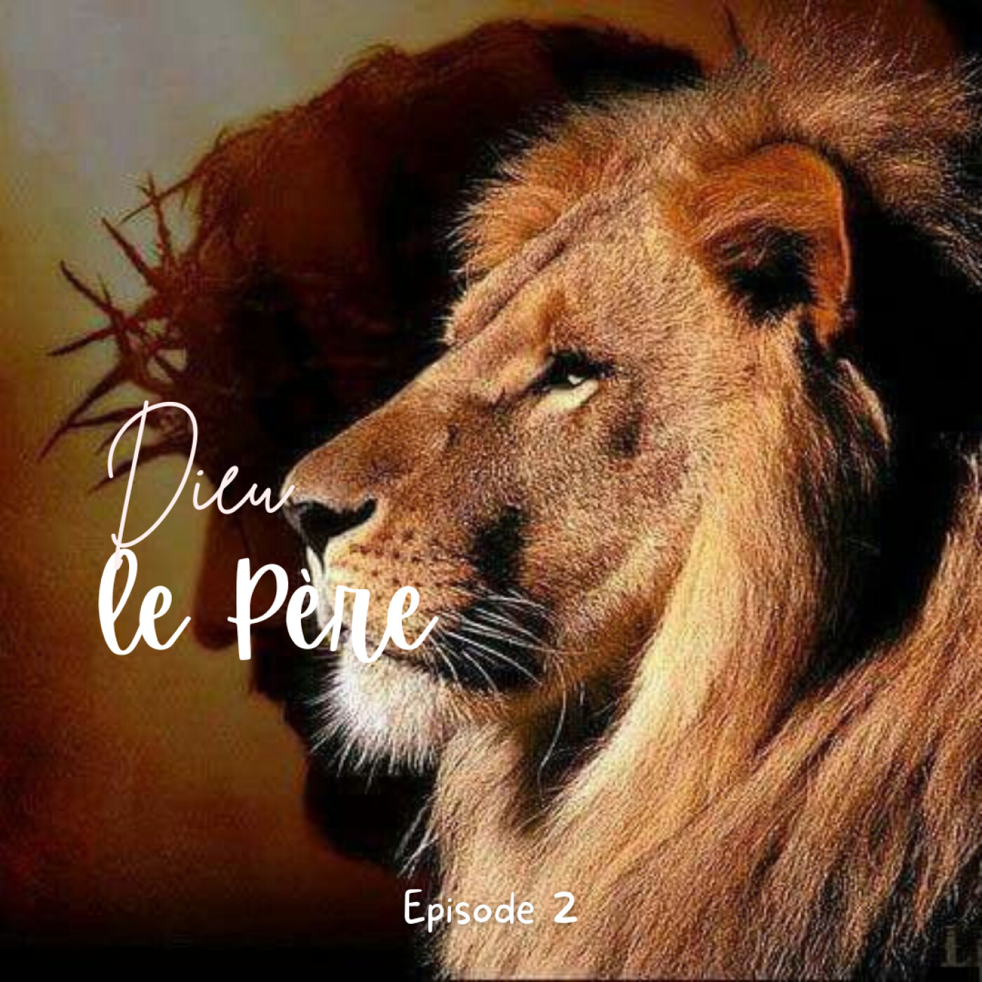 OÊSJ: Oser Être soi avec Jésus