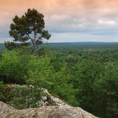 Une rando Francilienne en 24 étapes guidées ! cover