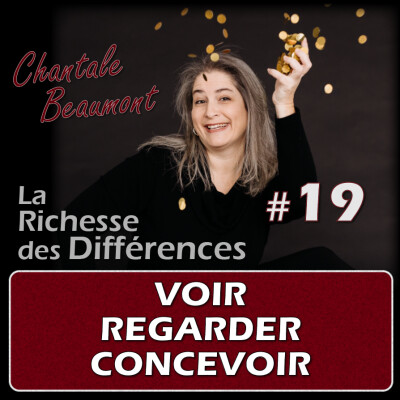 Comment ne plus se torturer avec ce que l'on voit - E19 cover