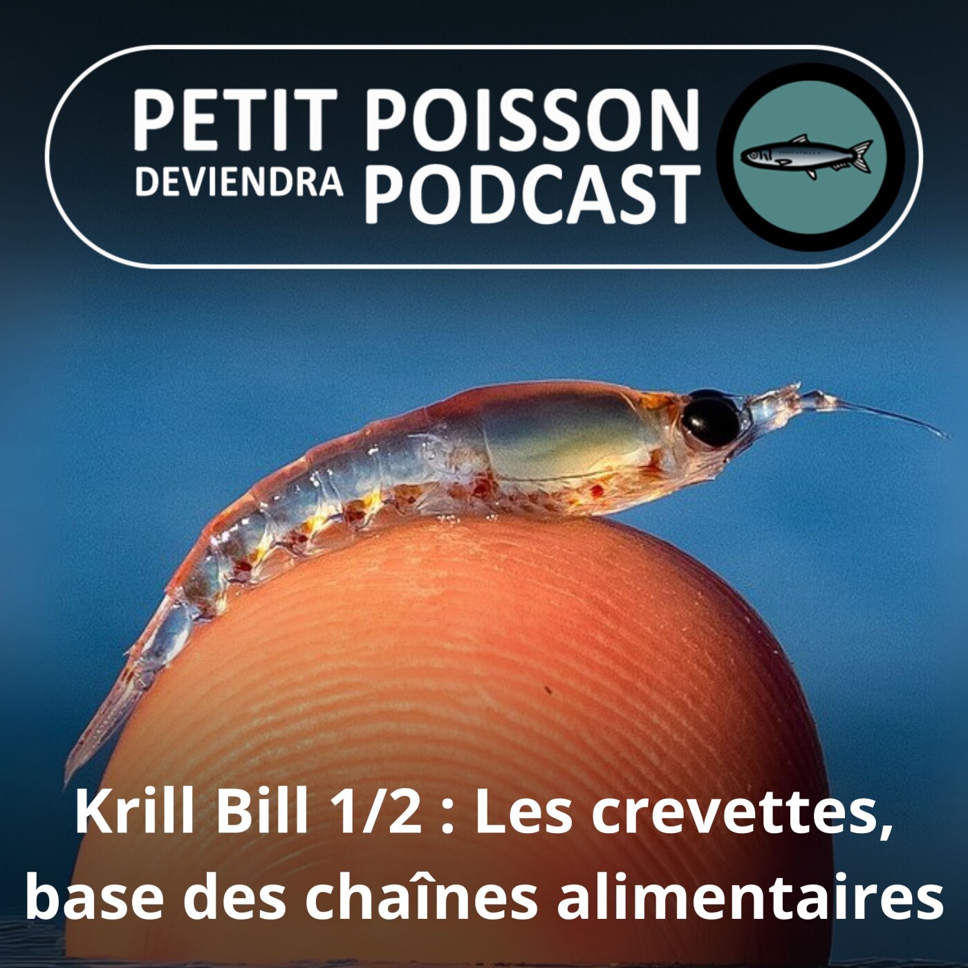 Petit Poisson deviendra Podcast