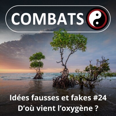 S06E24 Idées fausses : doit-on bien 1 respiration sur 2 aux forêts et l'autre au plancton ? cover