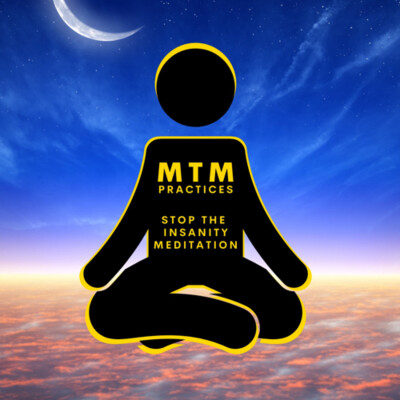 Stop the Insanity (A Meditation) cover