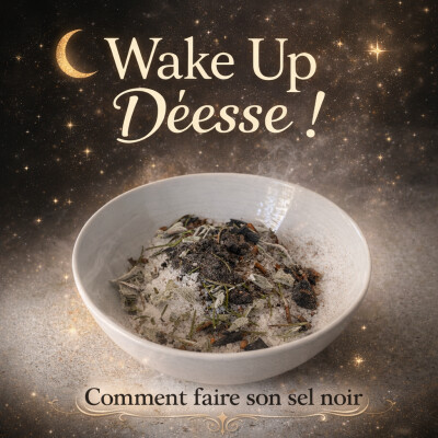 COMMENT PREPARER TON SEL NOIR cover