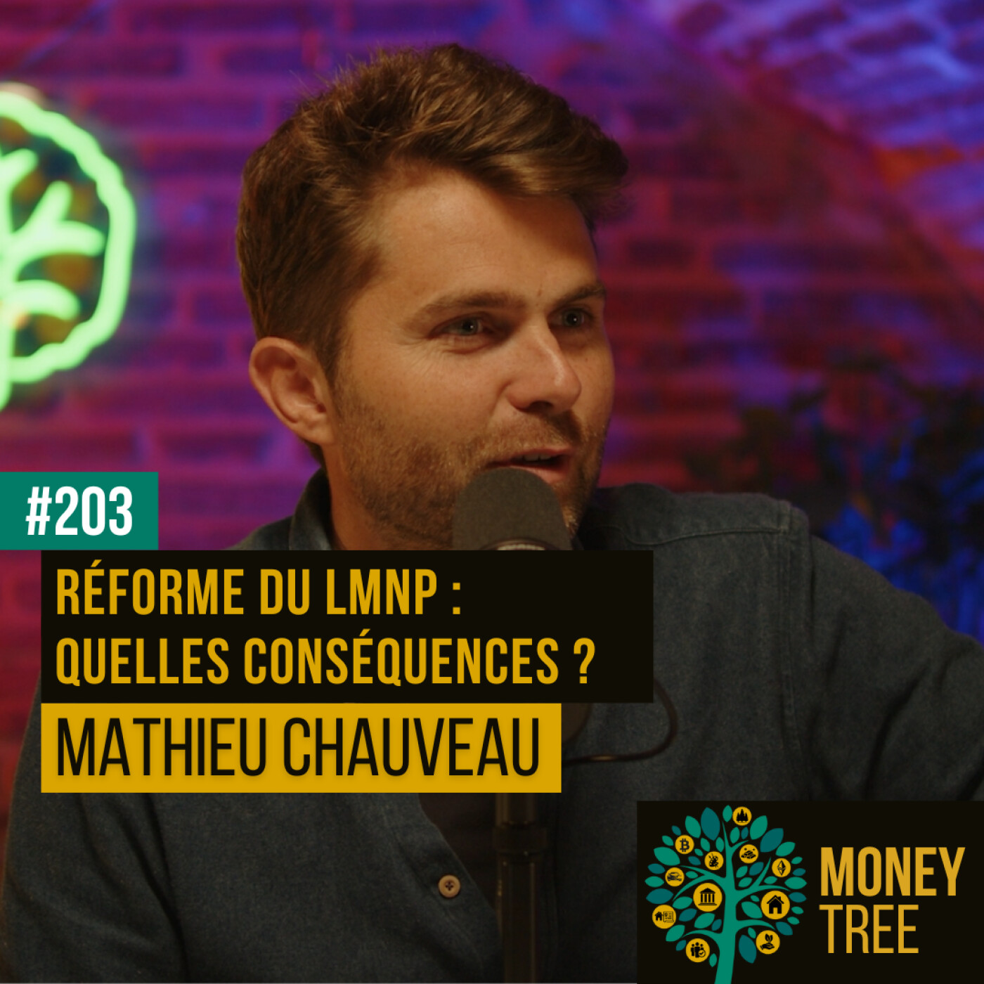 #203 - Réforme du LMNP : quelles conséquences ? (Mathieu Chauveau) [CAPS]