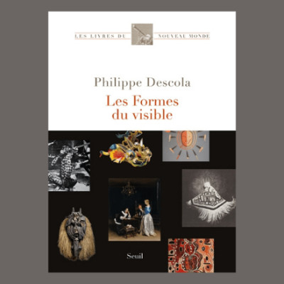 Philippe Descola - Les formes du visible cover