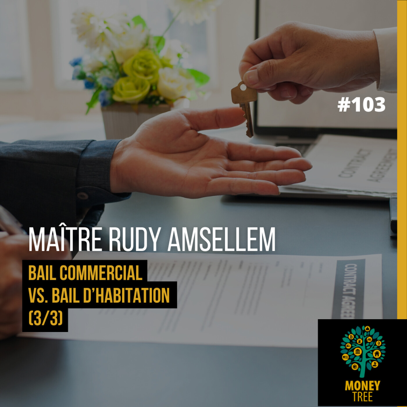 #103 [CAPS] Bail commercial vs. bail d'habitation 3/3 (Maître Rudy Amsellem)