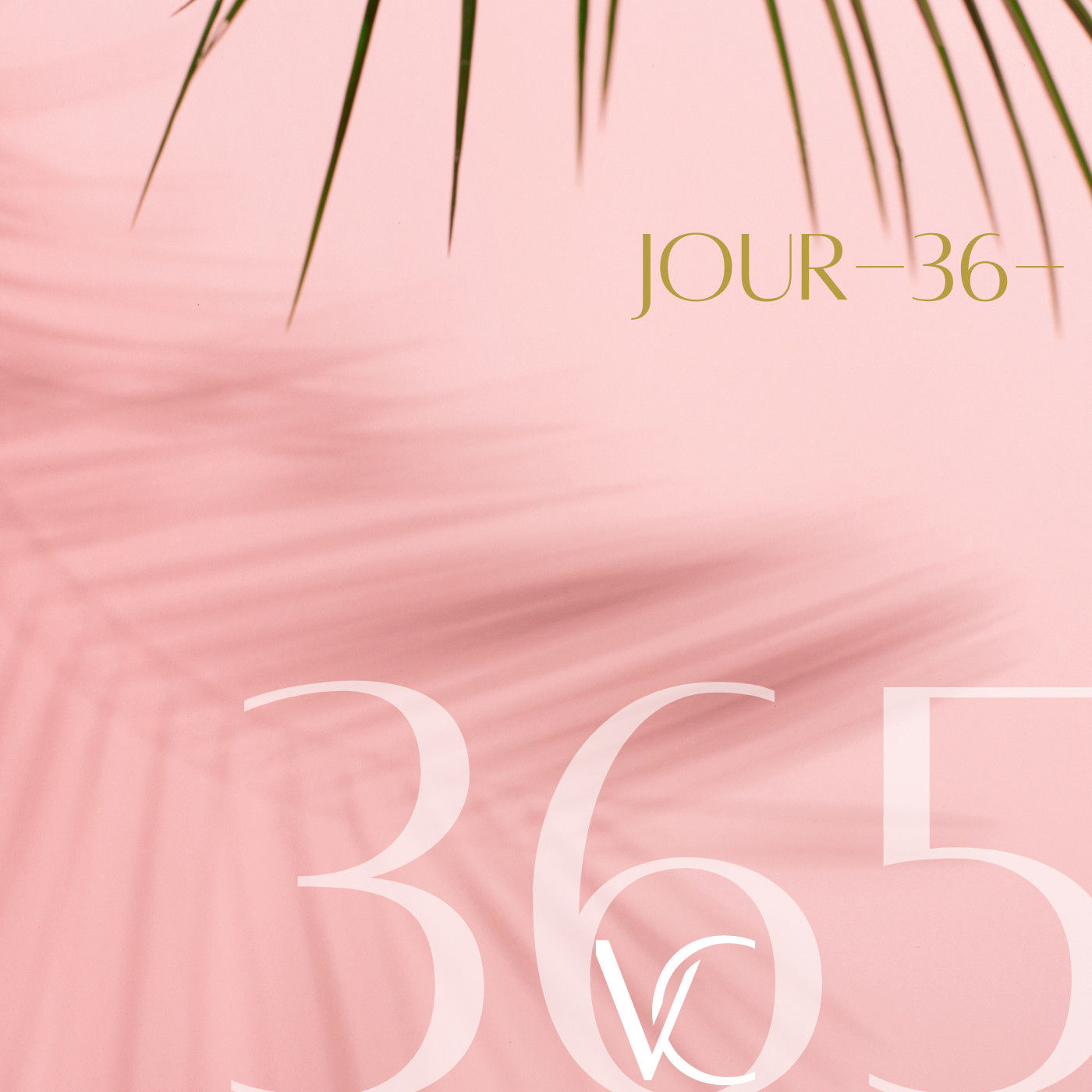 LIVE 365 by Valérie Carchi