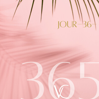 LIVE 365•36 Bienvenue dans l’ère des perchés ! cover