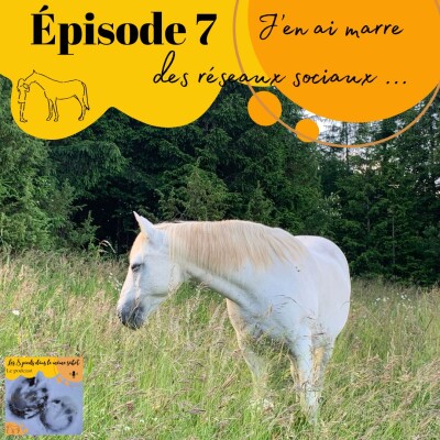 7 - J'en ai marre des réseaux sociaux ... cover