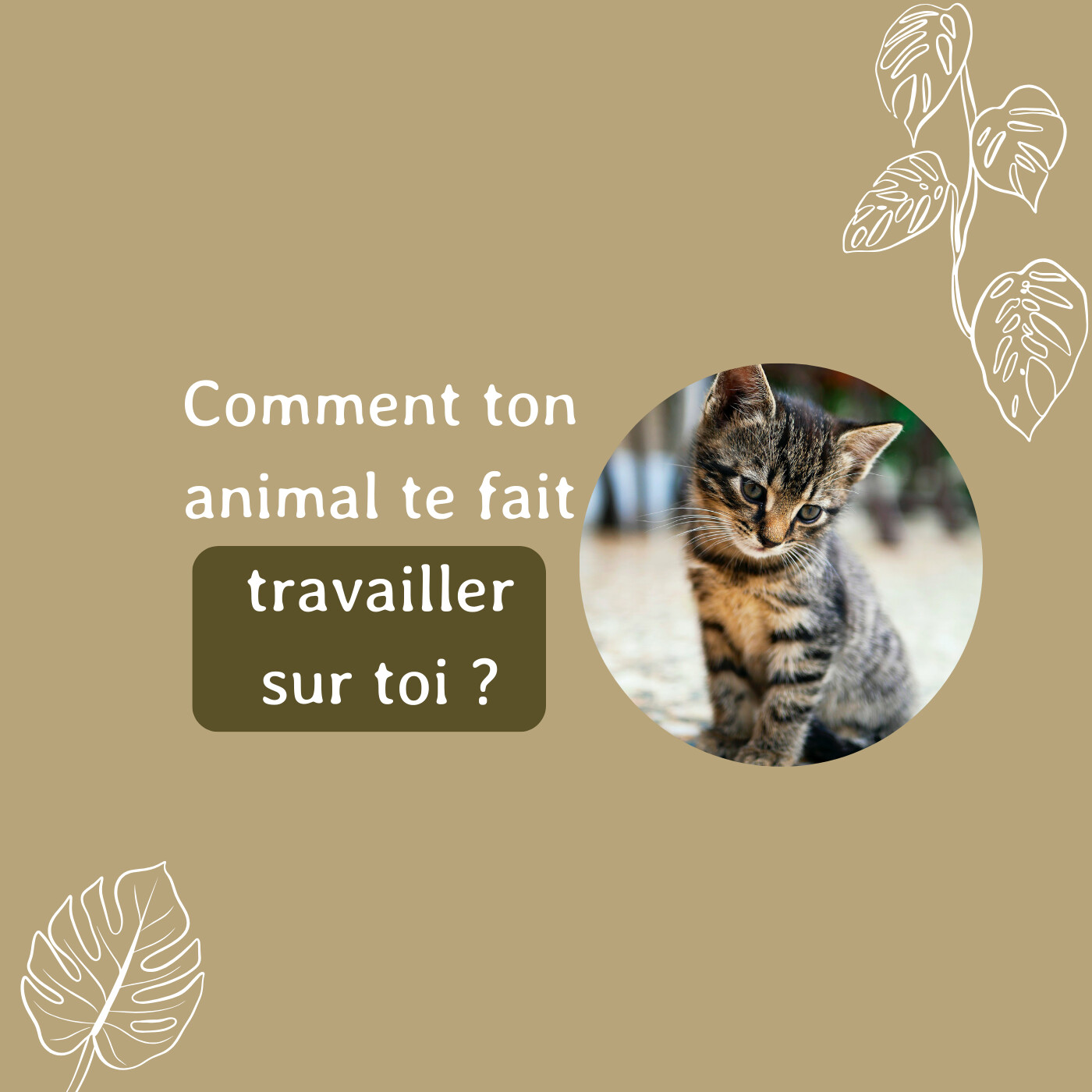 Comment ton animal te fait travailler sur toi ?