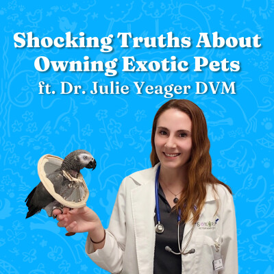 Shocking Truths About Owning Exotic Pets cover