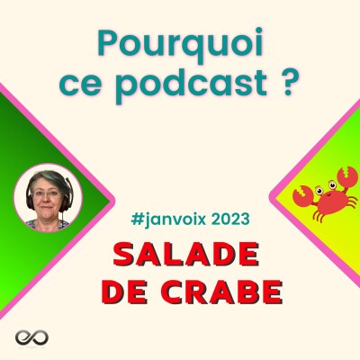 Pourquoi ce podcast ? - E 14 -  #Janvoix2023 cover