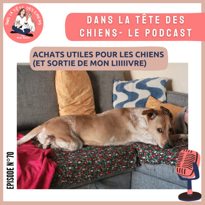 Achats utiles pour votre chien (et pitch de mon livre) cover