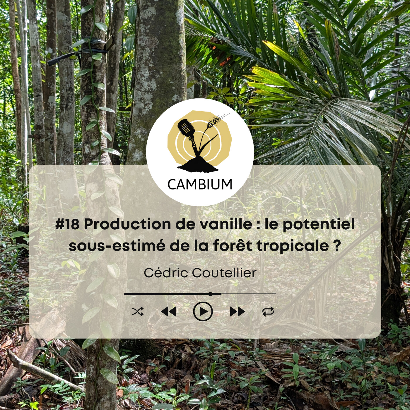 #18 - Production de vanille : le potentiel sous-estimé de la forêt tropicale ? episode artwork