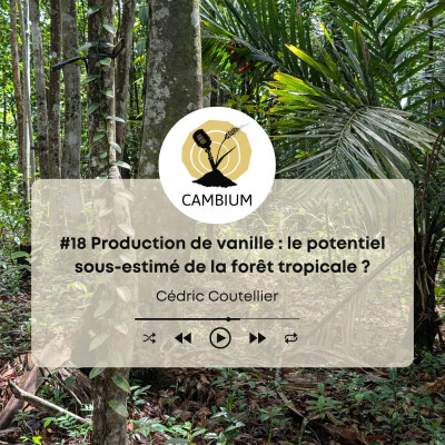 #18 - Production de vanille : le potentiel sous-estimé de la forêt tropicale ? cover