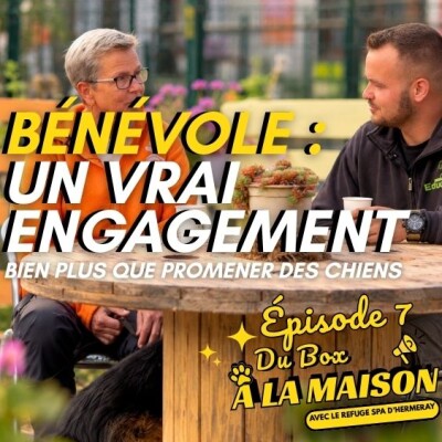 Bénévole en refuge : Bien plus que promener des chiens 🎙️ Du Box à la Maison – Épisode 7 cover