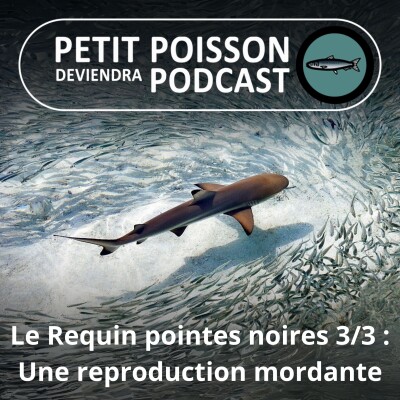 S02E17 Le Requin pointes noires 3/3 : Une reproduction plutôt mordante cover