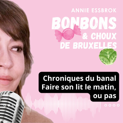 Chroniques du banal : Faire ou ne pas faire son lit le matin cover