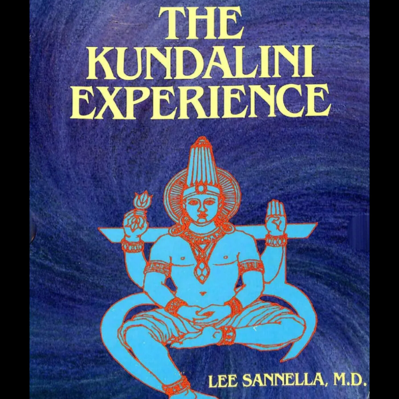 THE KUNDALINI EXPERIENCE BY LEE SANNELLA | FULL AUDIO BOOK IN ENGLISH