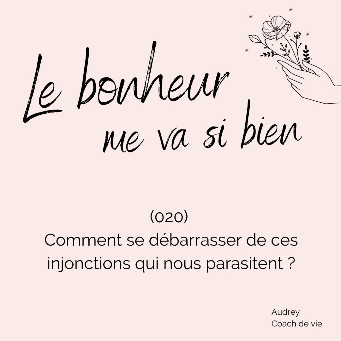 (020) Comment se débarrasser de ces injonctions qui nous parasitent ? - Les drivers episode artwork
