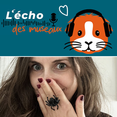 13. Episode solo (phobique friendly) spécial Halloween : connaitre et aimer les araignées cover