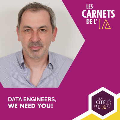 #12 - Guillaume Leprince - Data Engineers, we need you! cover