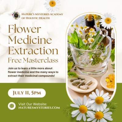 Flower Medicine Extraction~ cover
