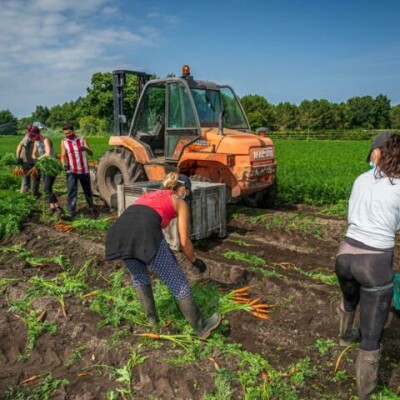 Quelle place pour l'académique dans le développement économique des territoires ? cover