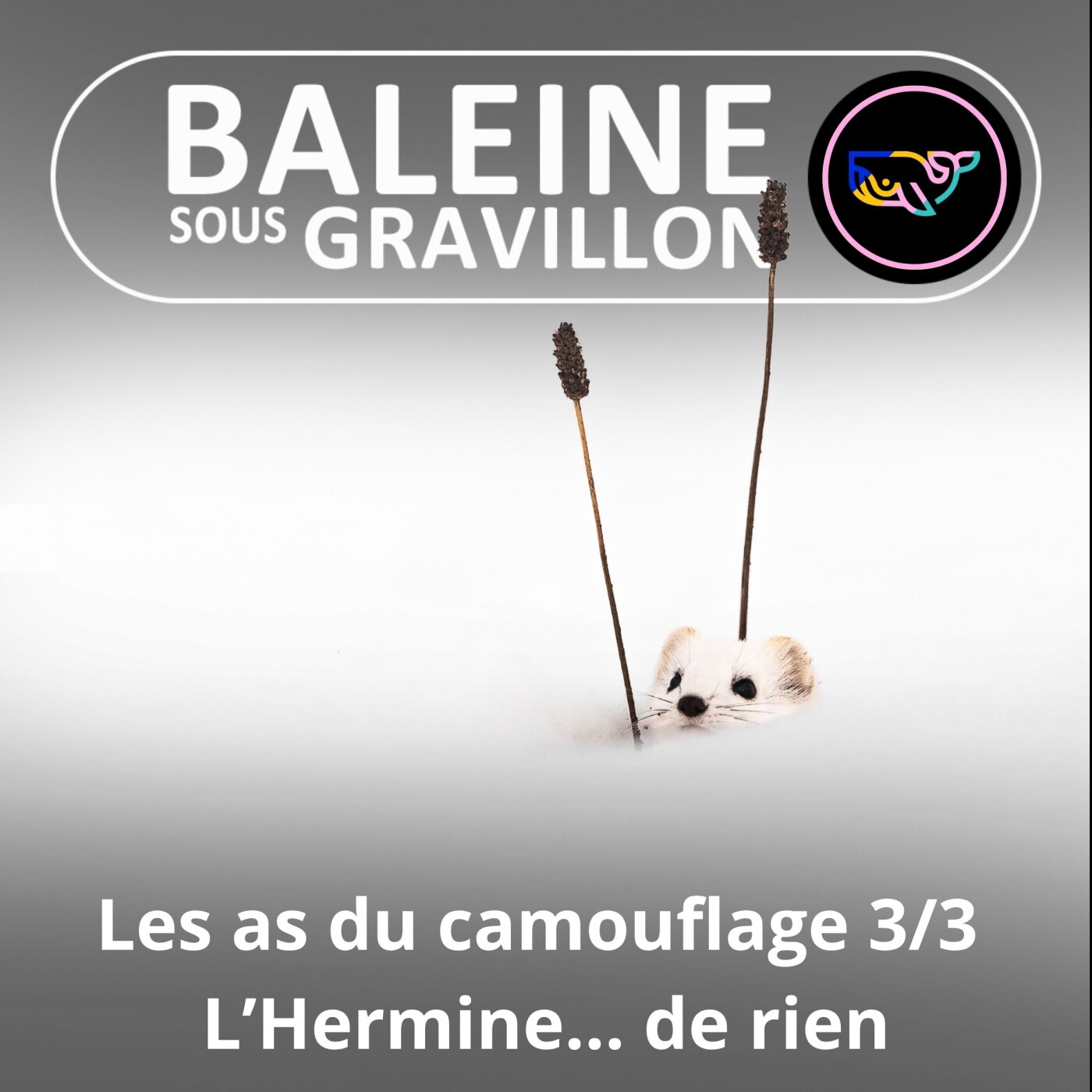 S07E165 Les as du camouflage 3/3 : L'Hermine... de rien episode artwork